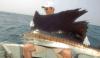 ОАЭ - рыбалка в Персидском заливе