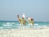 Советы и рекомендации туристам в ОАЭ