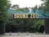 Зоопарк Bronx Zoo