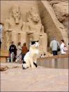 Традиции Египта