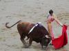 Бой быков в Испании - коррида