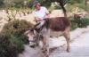 Тематический парк «Друзья кипрских осликов» - "Friends of the Cyprus Donkey - Лимассол
