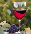 Вино венских виноградников