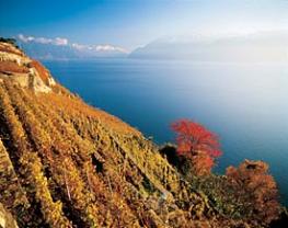 Озеро Леман - маленькое внутреннее море от Женевы до Эвиана