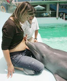 Дельфинотерапия в Партените