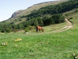 Крымский природный заповедник в Алуште