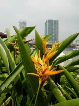 Бангкок - сердце и столица страны