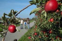 Тургау - Thurgau - кантон на северо-востоке Швейцарии