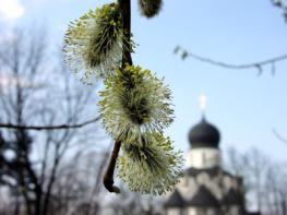 Вход Господень в Иерусалим (Вербное Воскресенье)