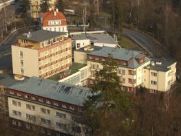 Отель Svycarsky Dvur