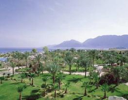 Отель Hilton Nuweiba Coral Resort