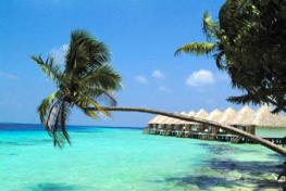 Отель Coco Palm Resort Bodu Hithi