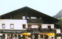 Отель Traublingerhof