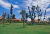 Отель Pandanus Resort