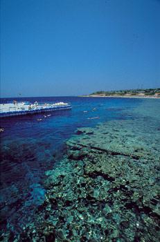 Шарм-Эль-Шейх Отель Domina Coral Bay Oasis