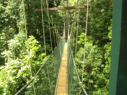 ROYAL MULU RESORT отель