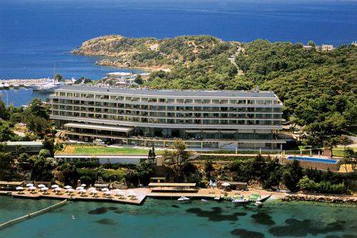 Греция Аттика отель ARION RESORT & SPA