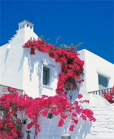 Греция Парос Отель Yria Hotel Resort
