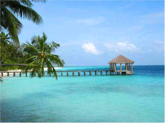 Отель Coco Palm Resort Bodu Hithi 