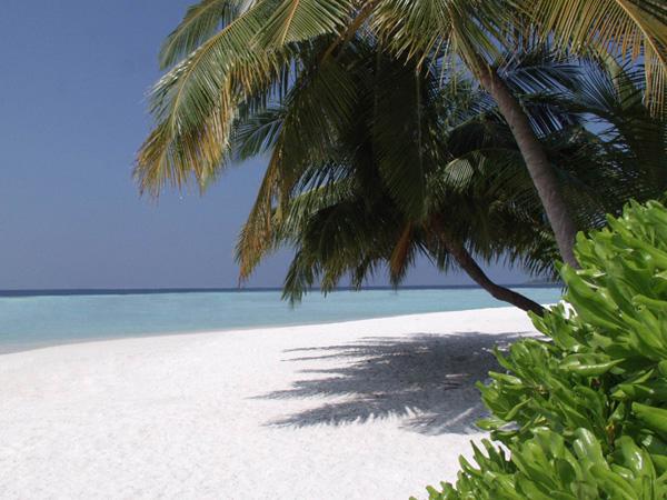 Отель Kurumba Maldives - фото