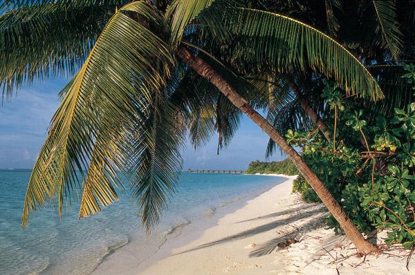 Мальдивы: Отель Sun Island Resort & Spa
