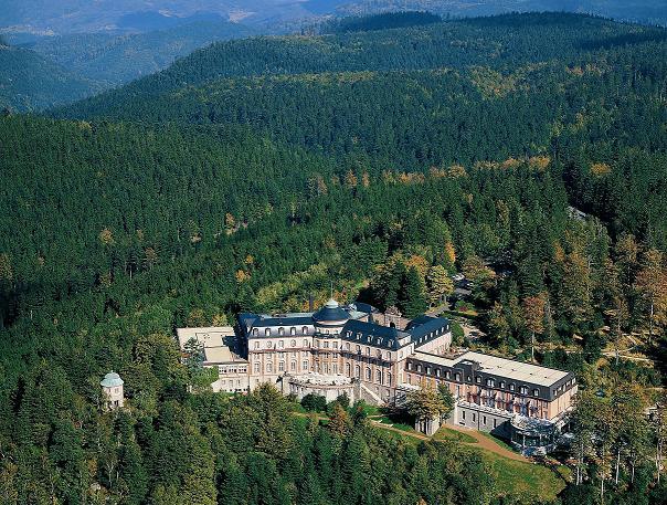 Отель Schlosshotel Buhlerhohe - фото
