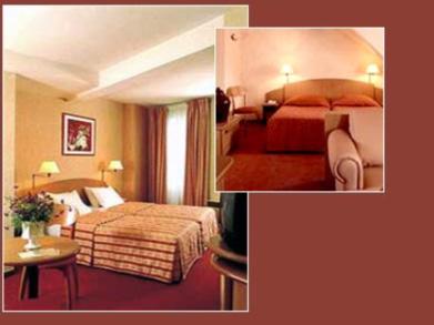 Париж - Отель BEST WESTERN CELTE LA FAYETTE