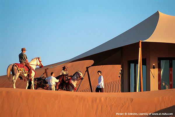 Дубаи - Отель Al Maha Desert Resort & Spa