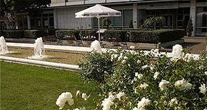 Кельн - Отель CROWNE PLAZA COLOGNE CITY CENTRE 