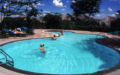 Бассейн отеля Mara Simba Lodge