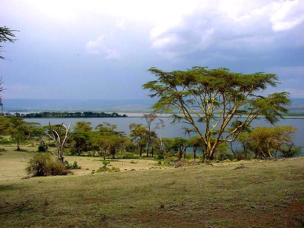 Озеро Найваша - фото Кении