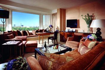 Отели Лондона - Отель Sheraton Park Tower