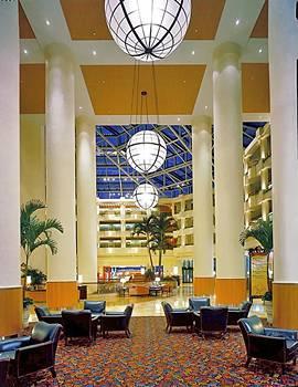 Отель Marriott Orlando World Center Resort - фото