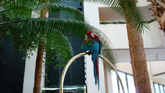 Отель HYATT REGENCY GRAND CYPRESS - фото