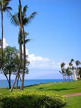 Отель Wailea Marriott an Outrigger Resort - фото