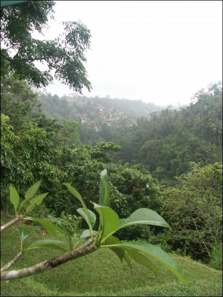 Alila Ubud - Убуд - фото отеля