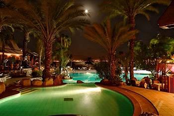 Эйлат - Отель Orchid Resort Village Hotel - фото