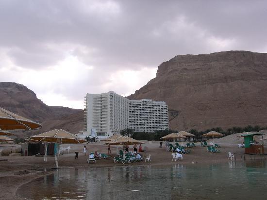 Мертвое море - Отель LE MERIDIEN DEAD SEA - фото