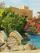 Шарм-Эль-Шейх Отель Delta Sharm Resort & Spa