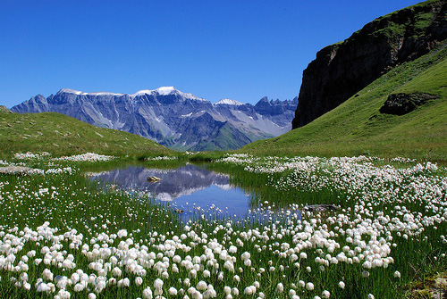 Альпы Швейцарии - фото
