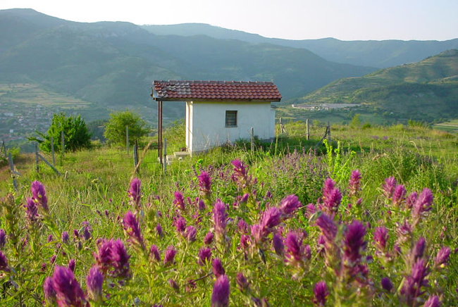 Болгария, парк Витоша, фото