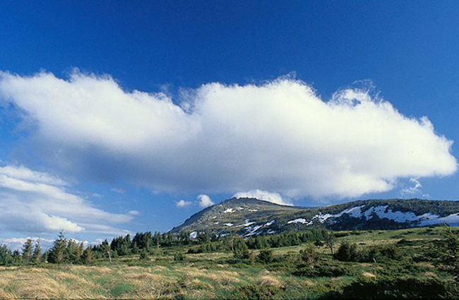 Болгария, парк Витоша, фото