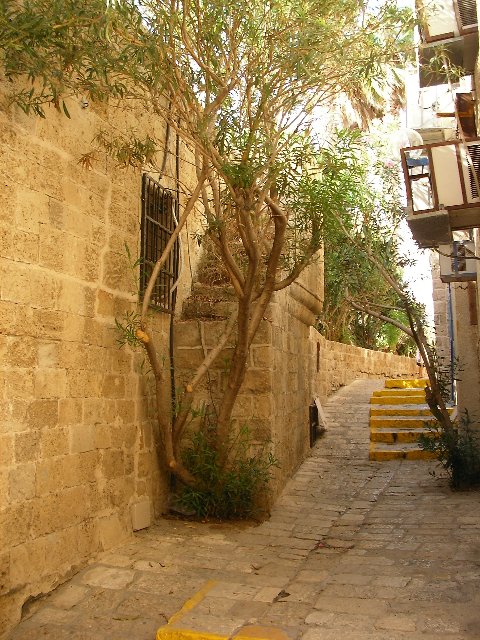 Тель-Авив - старый город