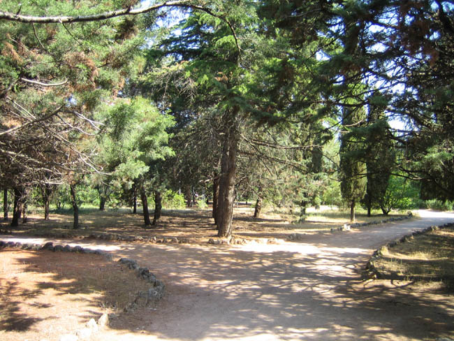 Алушта - дорожки в городском парке