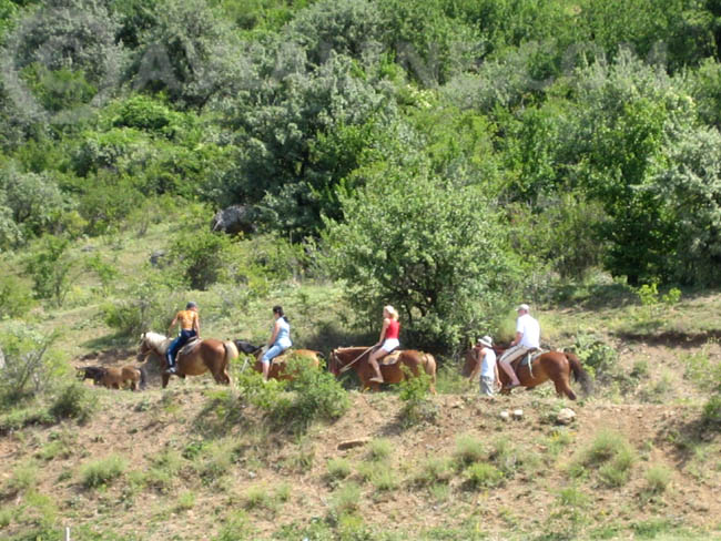 Крым - Демерджи - экскурсии на конях
