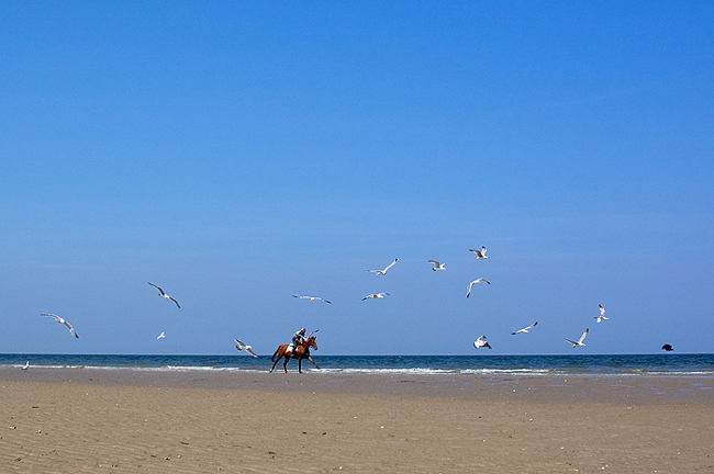 Довиль - Deauville - курорт Франции - море - фото flickr.com