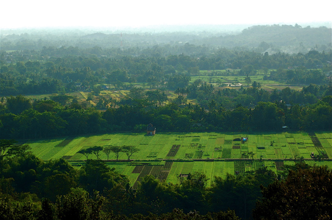 Ява - Индонезия - фото flickr.com