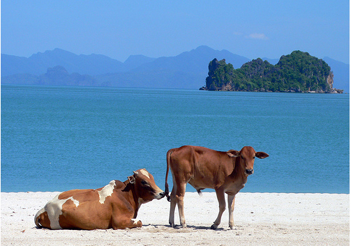 Пляжи Лангкави - Малайзия - фото flickr.com