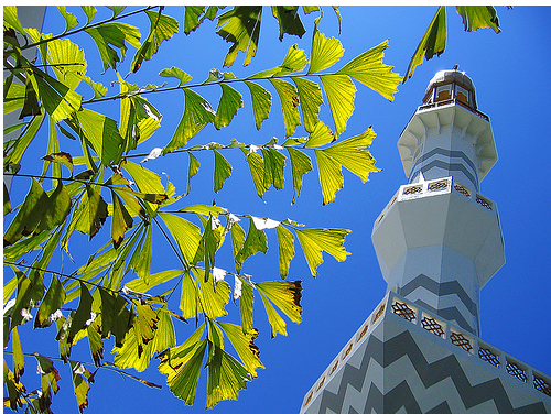 Мальдивы- Мале - мечети - фото flickr.com