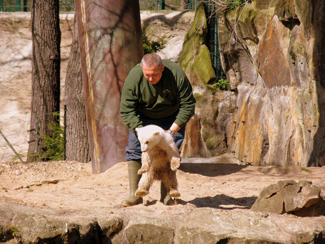 Берлинский зоопарк - Германия - фото flickr.com